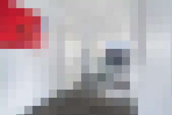 Casembrootlaan 5 C Poeldijk thumbnail 41