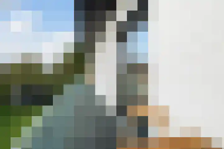 Casembrootlaan 5 C Poeldijk thumbnail 47