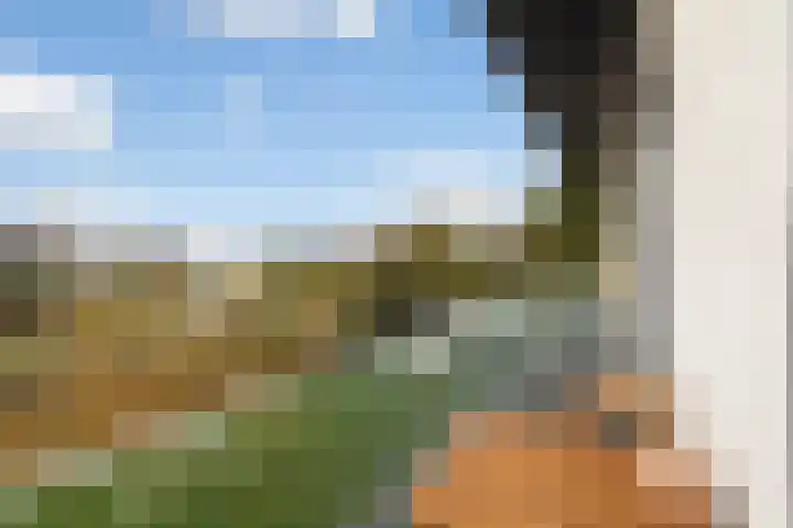 Casembrootlaan 5 C Poeldijk thumbnail 53