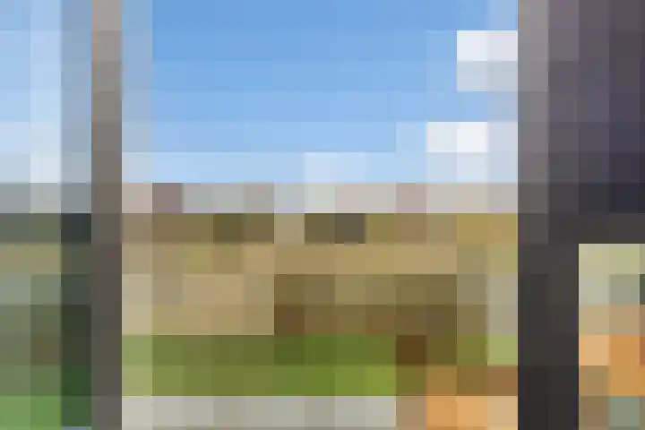 Casembrootlaan 5 C Poeldijk thumbnail 55