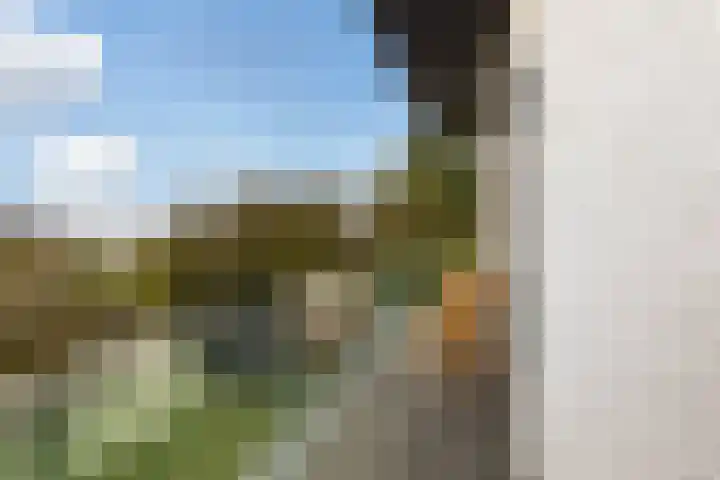 Casembrootlaan 5 C Poeldijk thumbnail 56