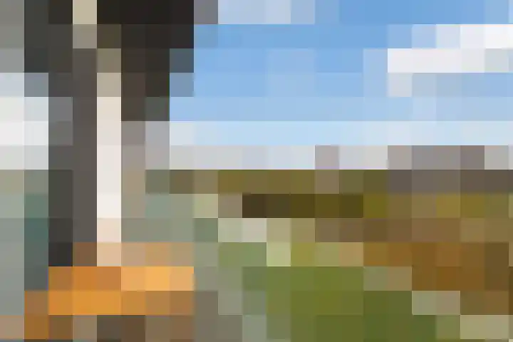 Casembrootlaan 5 C Poeldijk thumbnail 57