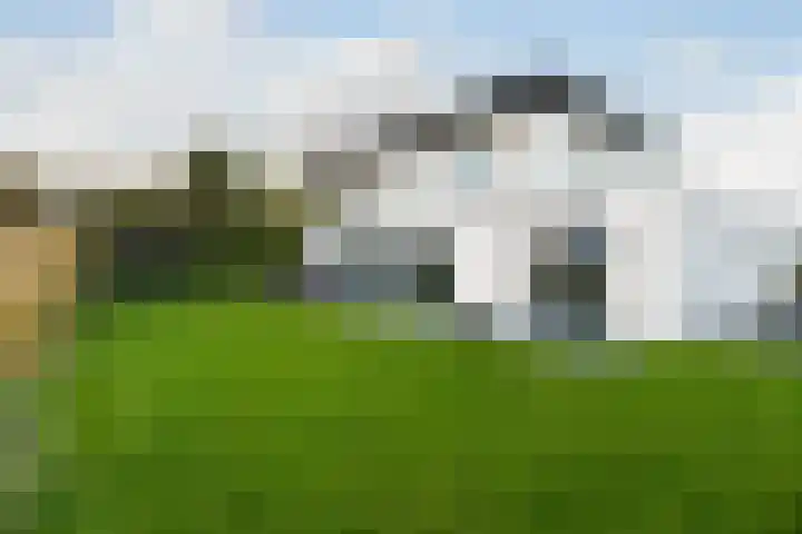 Casembrootlaan 5 C Poeldijk thumbnail 6