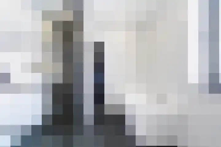 Casembrootlaan 5 C Poeldijk thumbnail 72
