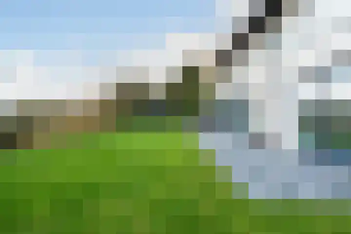 Casembrootlaan 5 C Poeldijk thumbnail 96