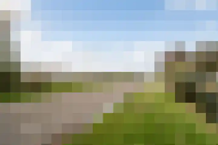 Casembrootlaan 5 C Poeldijk thumbnail 99