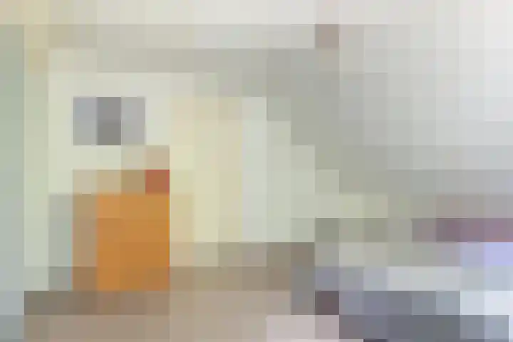 Casimirstrjitte 14 Kootstertille thumbnail 16