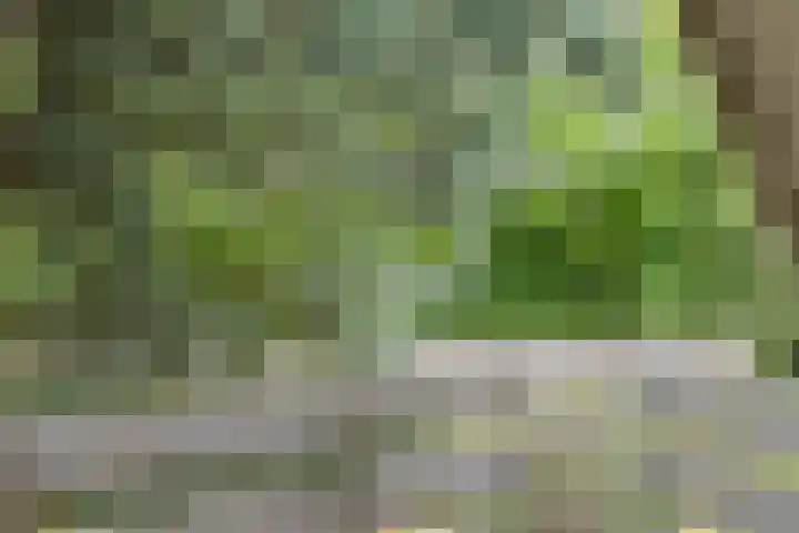 Casimirstrjitte 14 Kootstertille thumbnail 17