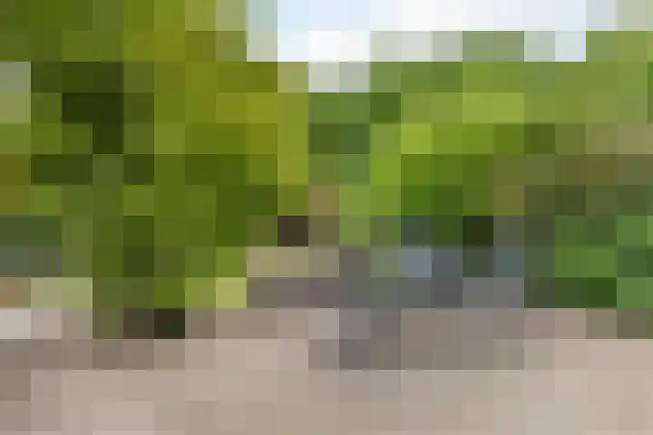 Casimirstrjitte 14 Kootstertille thumbnail 26