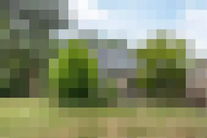 Casimirstrjitte 14 Kootstertille thumbnail 27