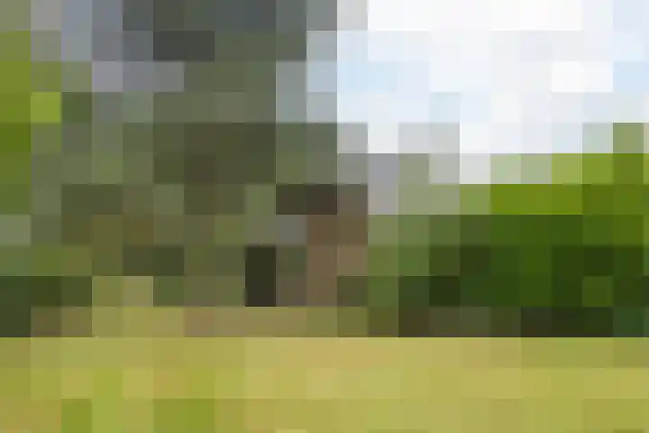 Casimirstrjitte 14 Kootstertille thumbnail 28