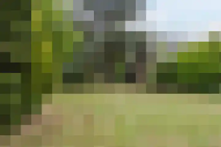 Casimirstrjitte 14 Kootstertille thumbnail 29