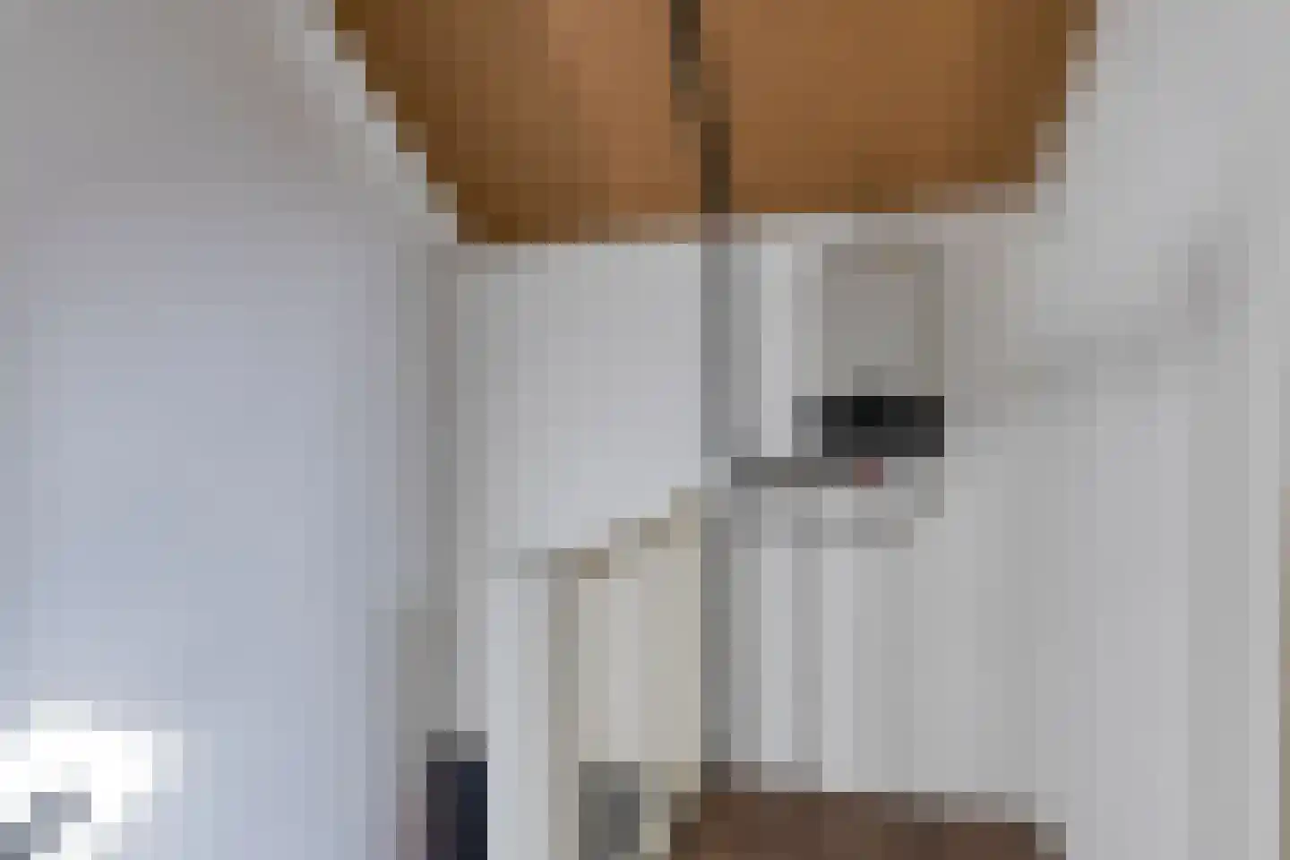 Casimirstrjitte 3 Kootstertille thumbnail 29