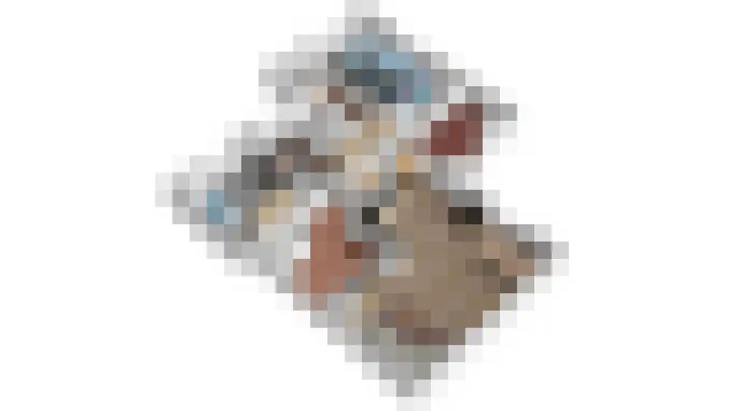Casimirstrjitte 4 Kootstertille thumbnail 15