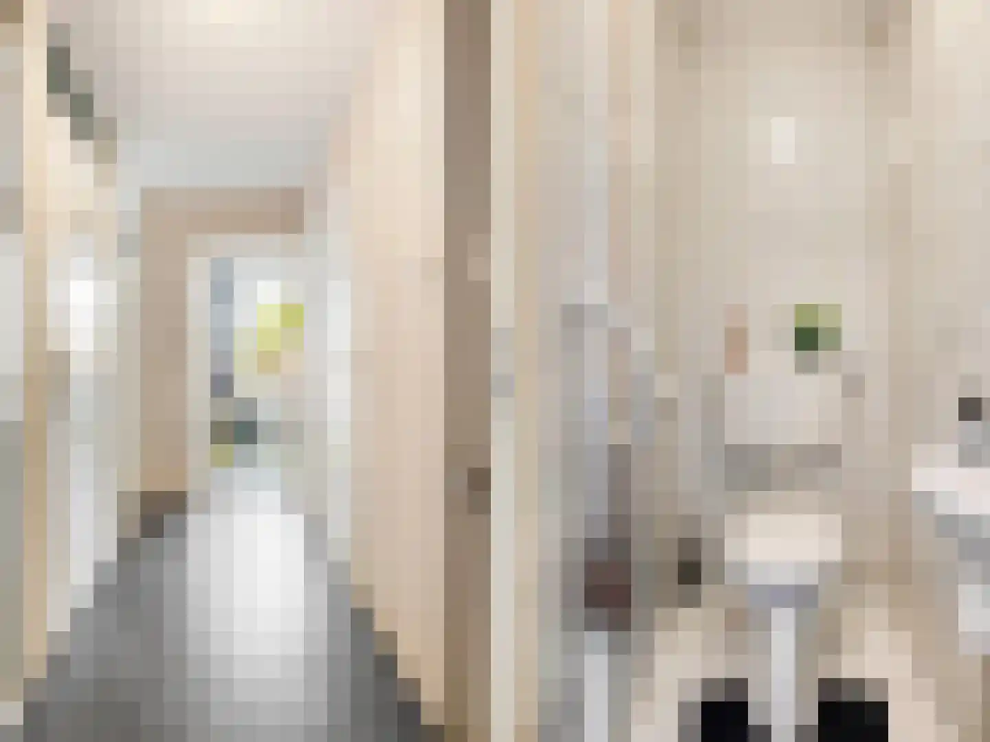 Casimirstrjitte 9 Kootstertille thumbnail 23