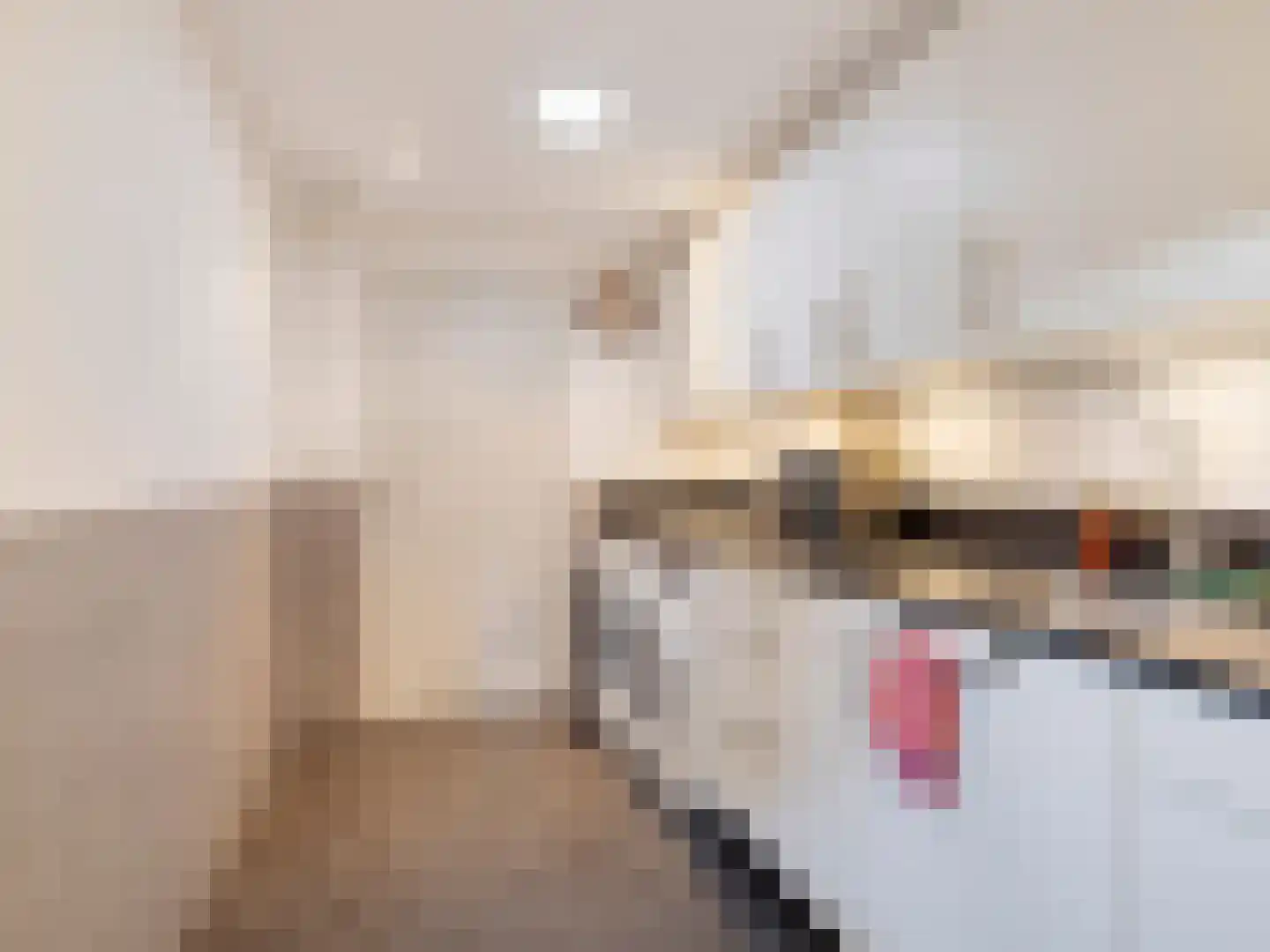 Casimirstrjitte 9 Kootstertille thumbnail 36