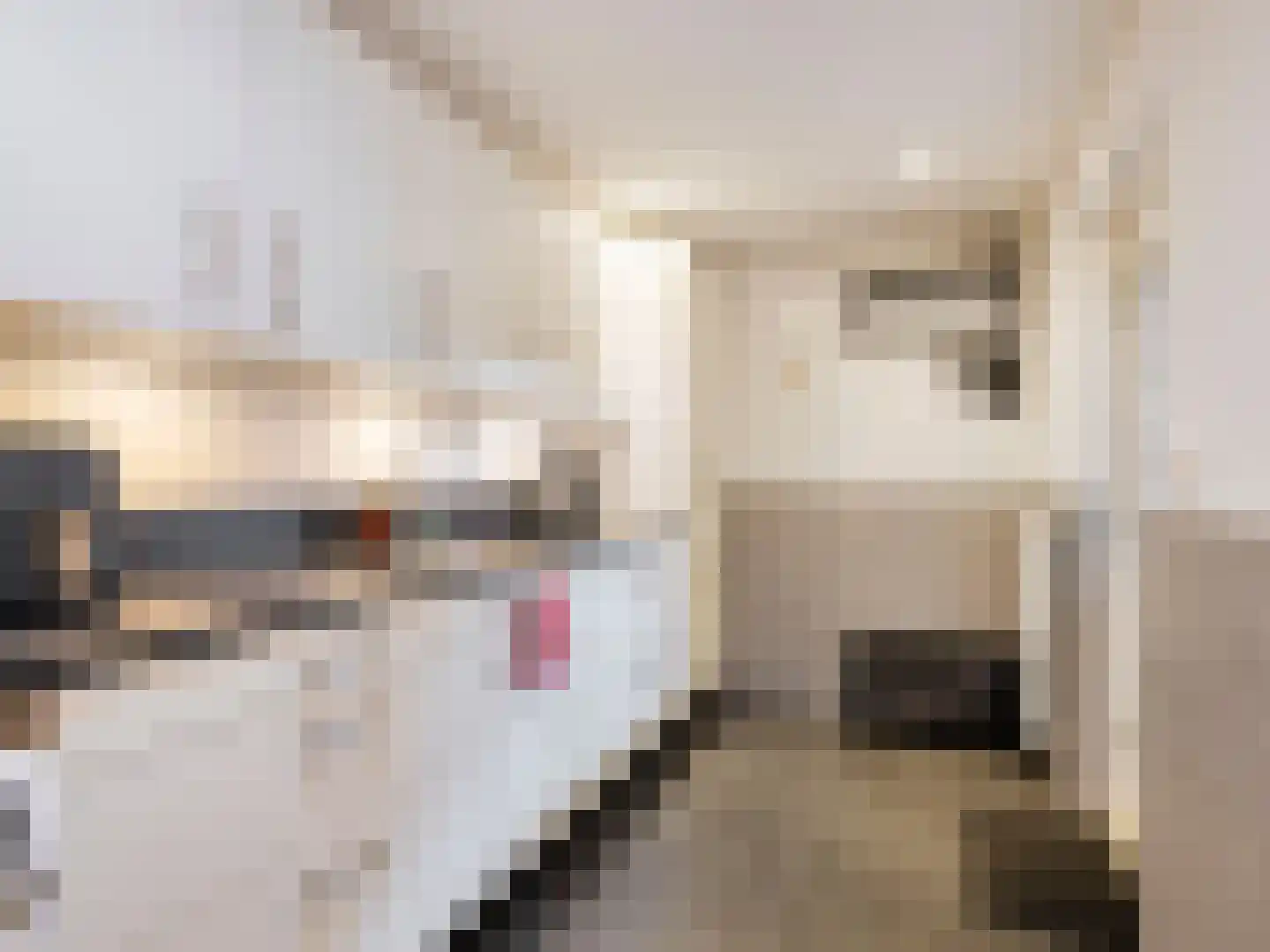 Casimirstrjitte 9 Kootstertille thumbnail 37