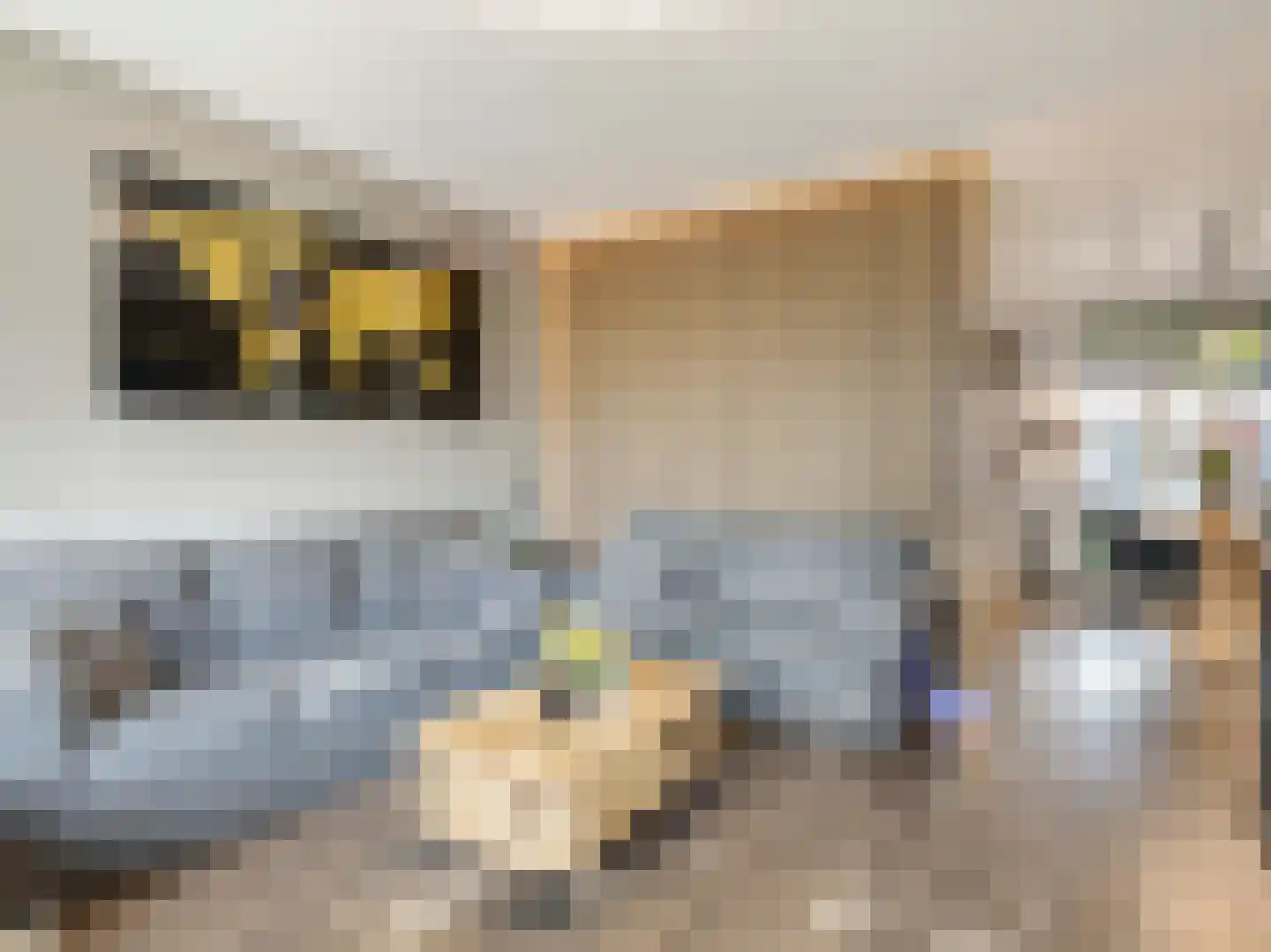 Casimirstrjitte 9 Kootstertille thumbnail 7
