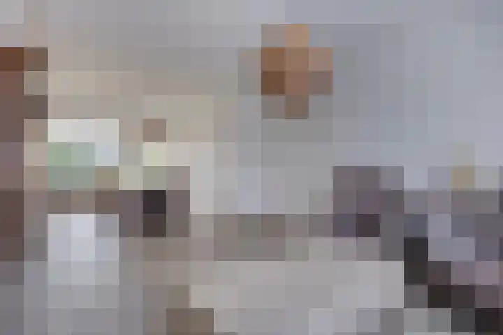 Caspar Boshartstraat 15 Macharen thumbnail 10