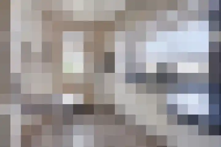 Caspar Boshartstraat 15 Macharen thumbnail 13