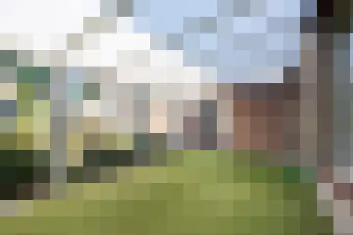 Caspar Boshartstraat 15 Macharen thumbnail 17