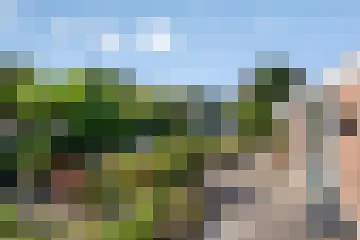 Caspar Boshartstraat 15 Macharen thumbnail 18
