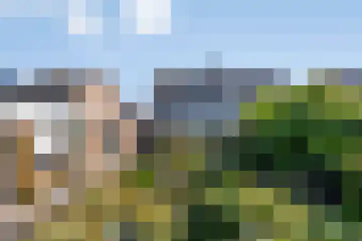 Caspar Boshartstraat 15 Macharen thumbnail 19