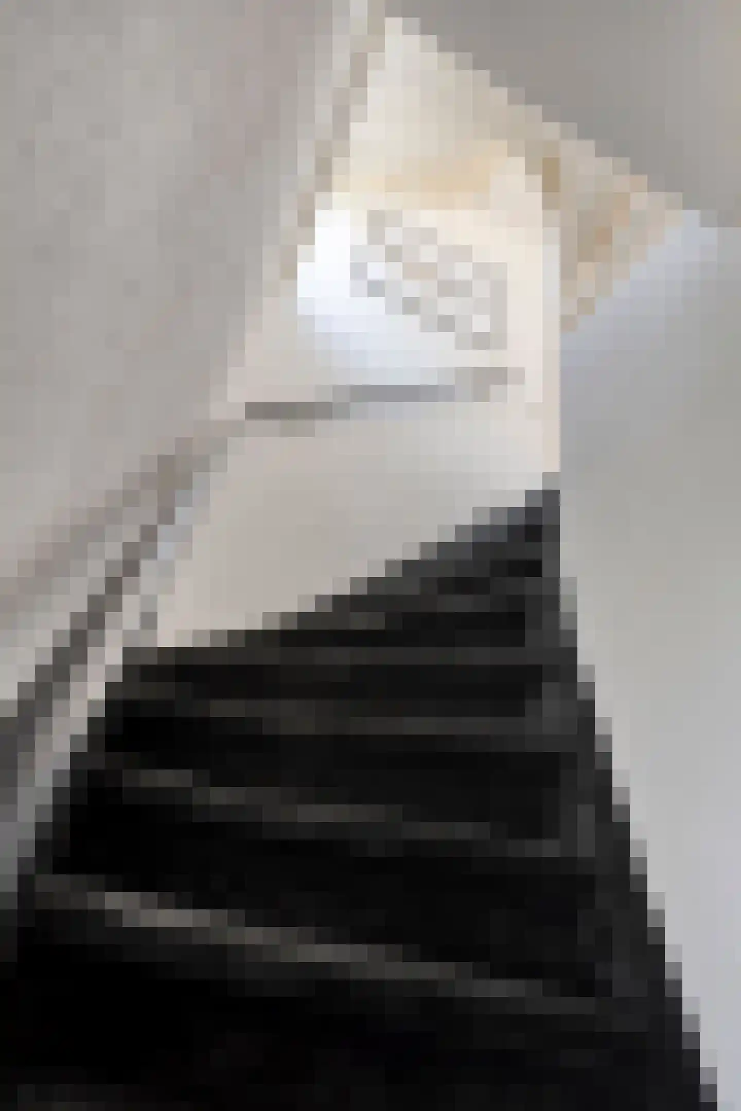 Caspar Boshartstraat 21 Macharen thumbnail 11