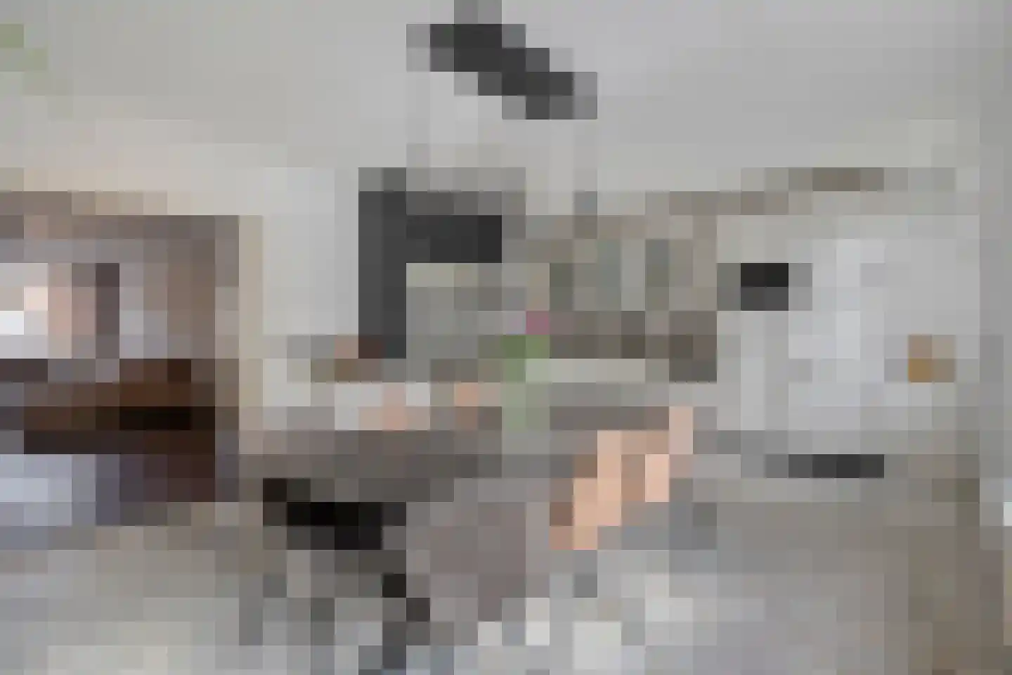 Caspar Boshartstraat 21 Macharen thumbnail 23