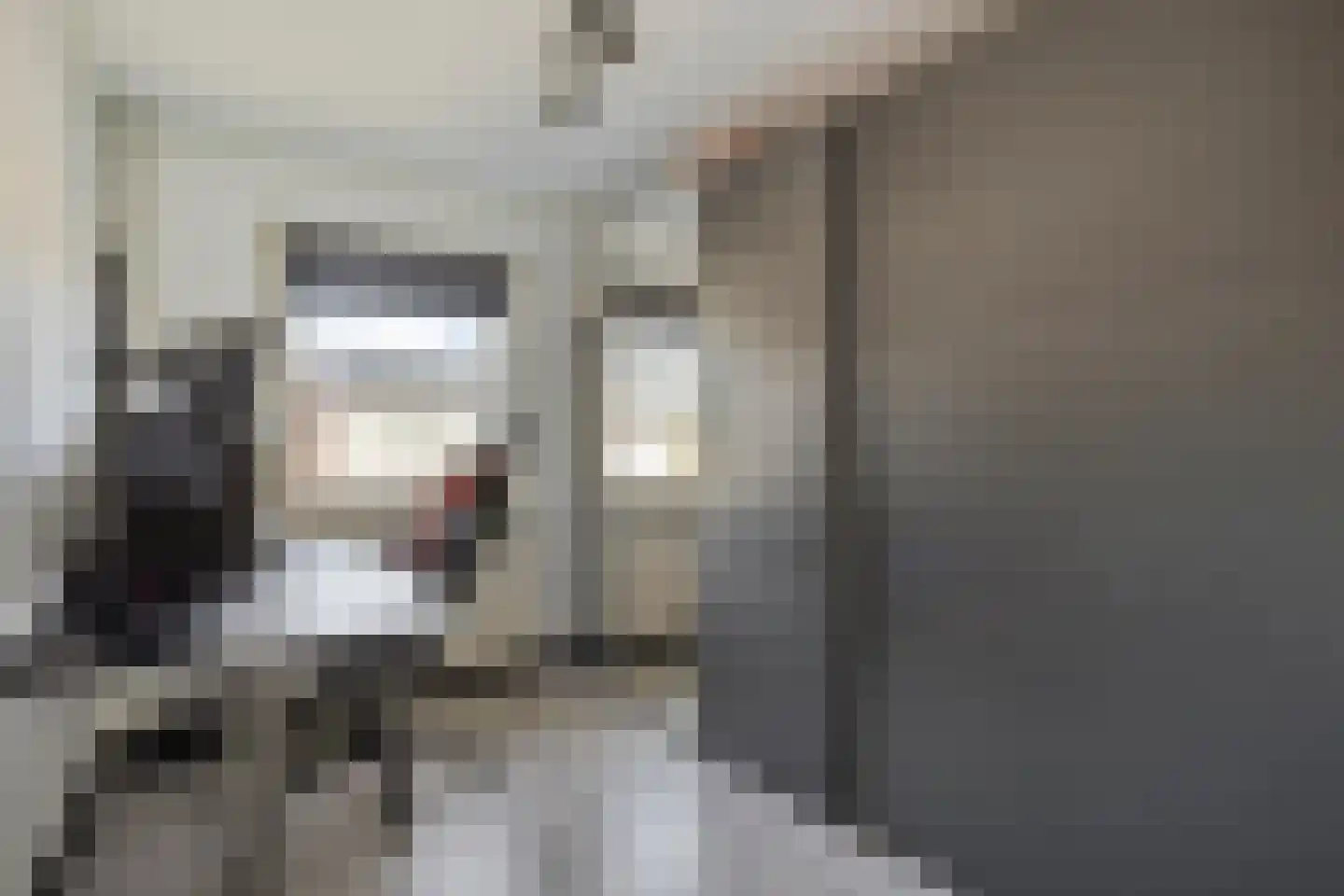 Caspar Boshartstraat 21 Macharen thumbnail 41