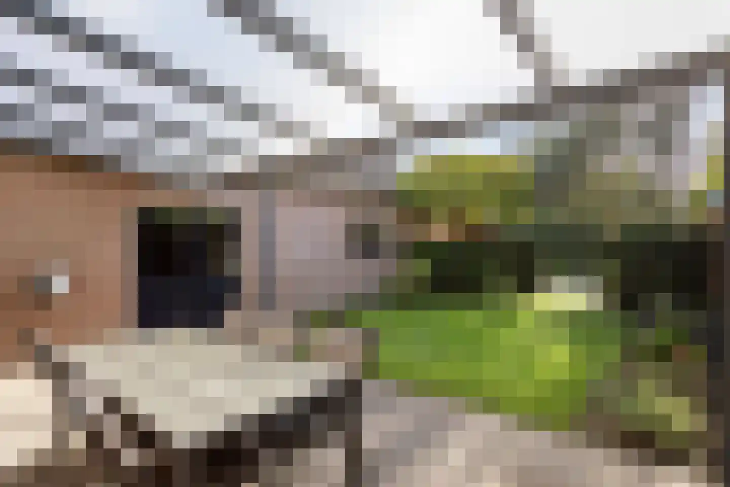 Caspar Boshartstraat 21 Macharen thumbnail 48
