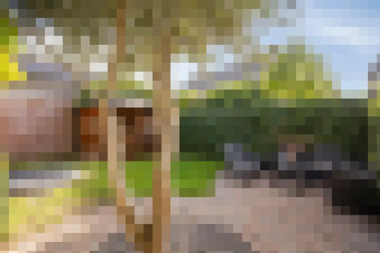 Caspar Boshartstraat 21 Macharen thumbnail 55
