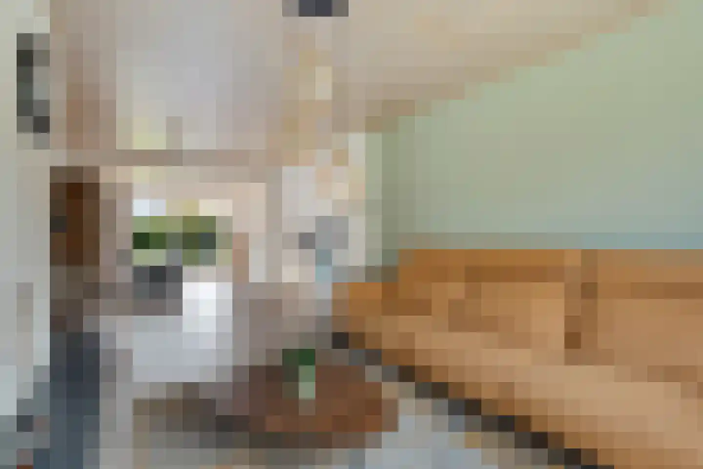 Caspar Boshartstraat 32 Macharen thumbnail 15