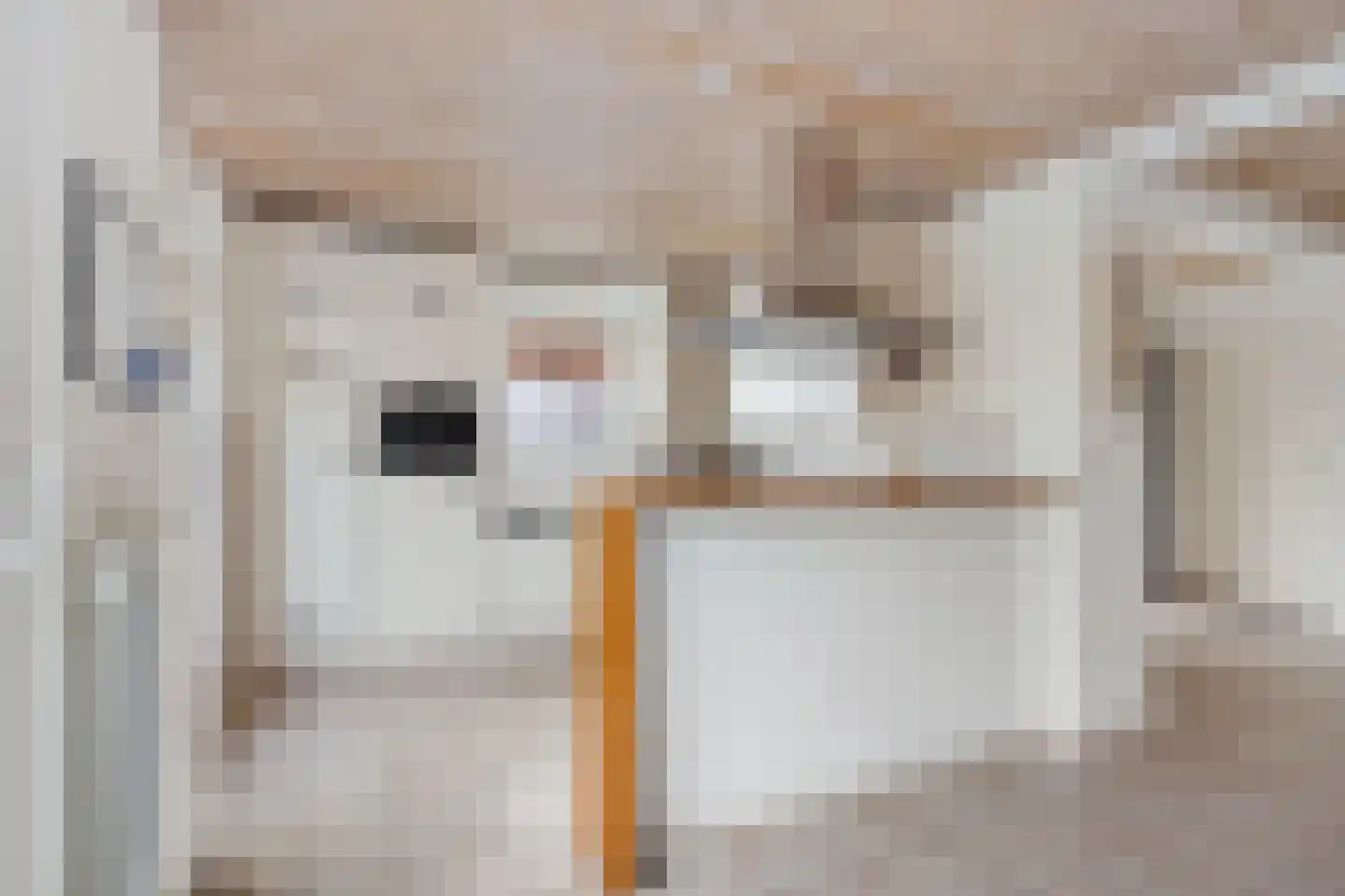 Caspar Boshartstraat 32 Macharen thumbnail 20