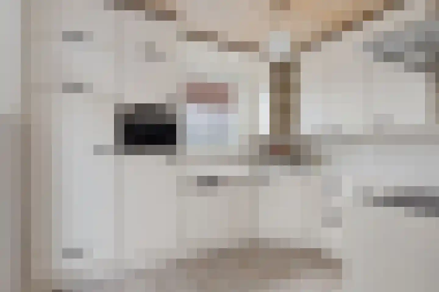 Caspar Boshartstraat 32 Macharen thumbnail 21