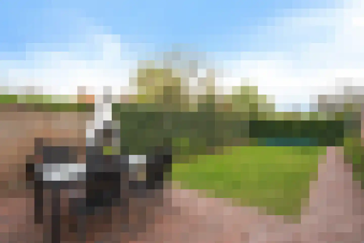Caspar Boshartstraat 32 Macharen thumbnail 5