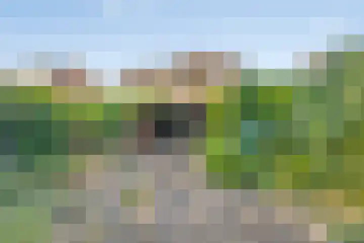 Caspar Boshartstraat 5 Macharen thumbnail 24
