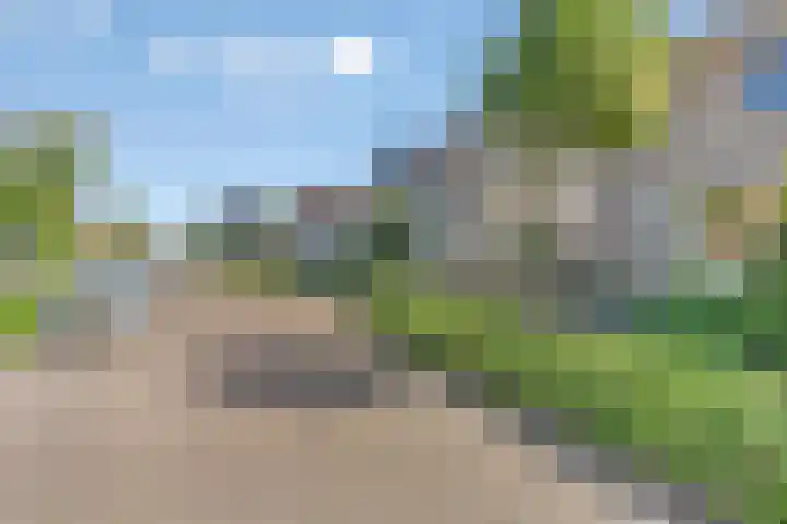 Caspar Boshartstraat 5 Macharen thumbnail 29
