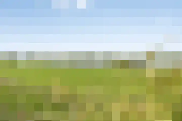 Caspar Boshartstraat 5 Macharen thumbnail 30