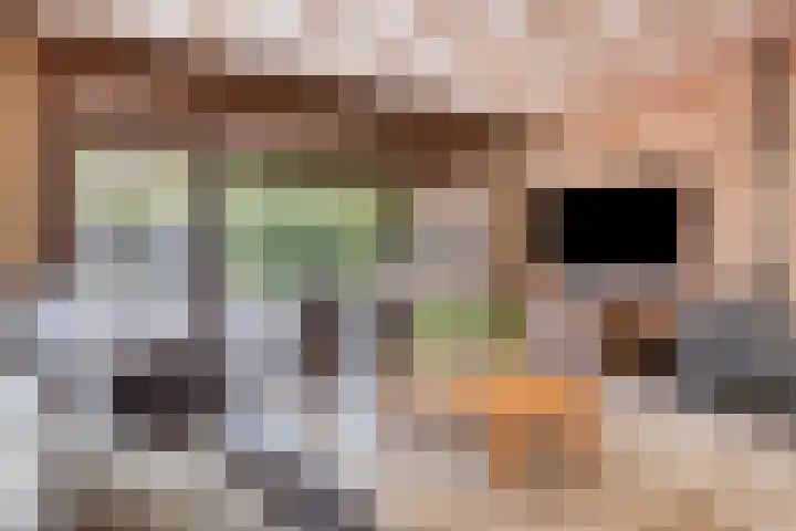 Caspar Boshartstraat 5 Macharen thumbnail 4