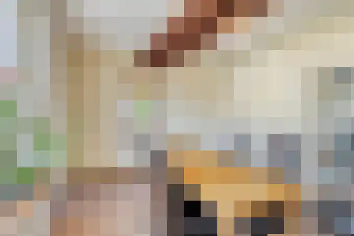 Caspar Boshartstraat 5 Macharen thumbnail 9