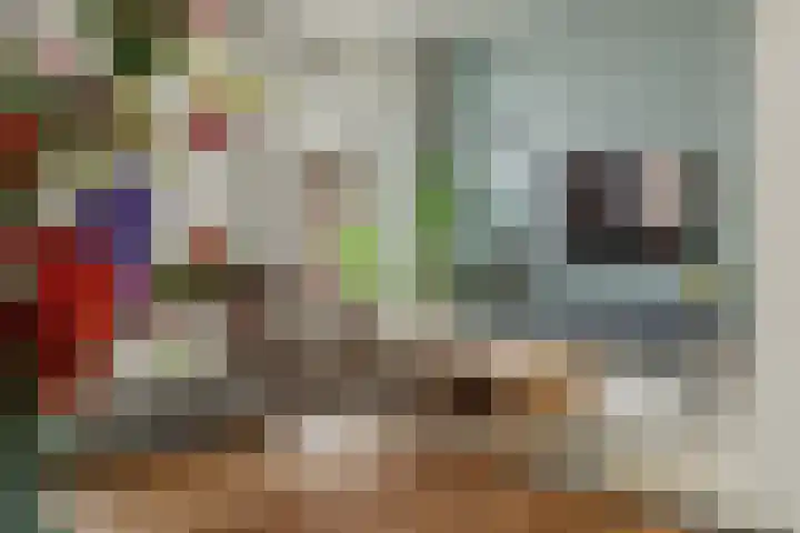 Caspar Damstraat 10 Zundert thumbnail 13