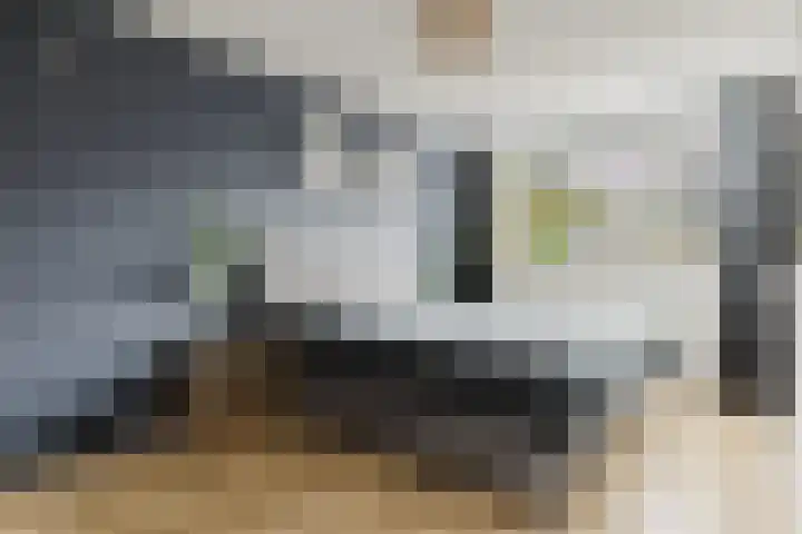 Caspar Damstraat 10 Zundert thumbnail 4