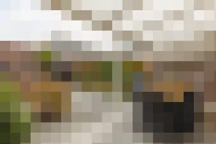 Caspar Damstraat 10 Zundert thumbnail 6