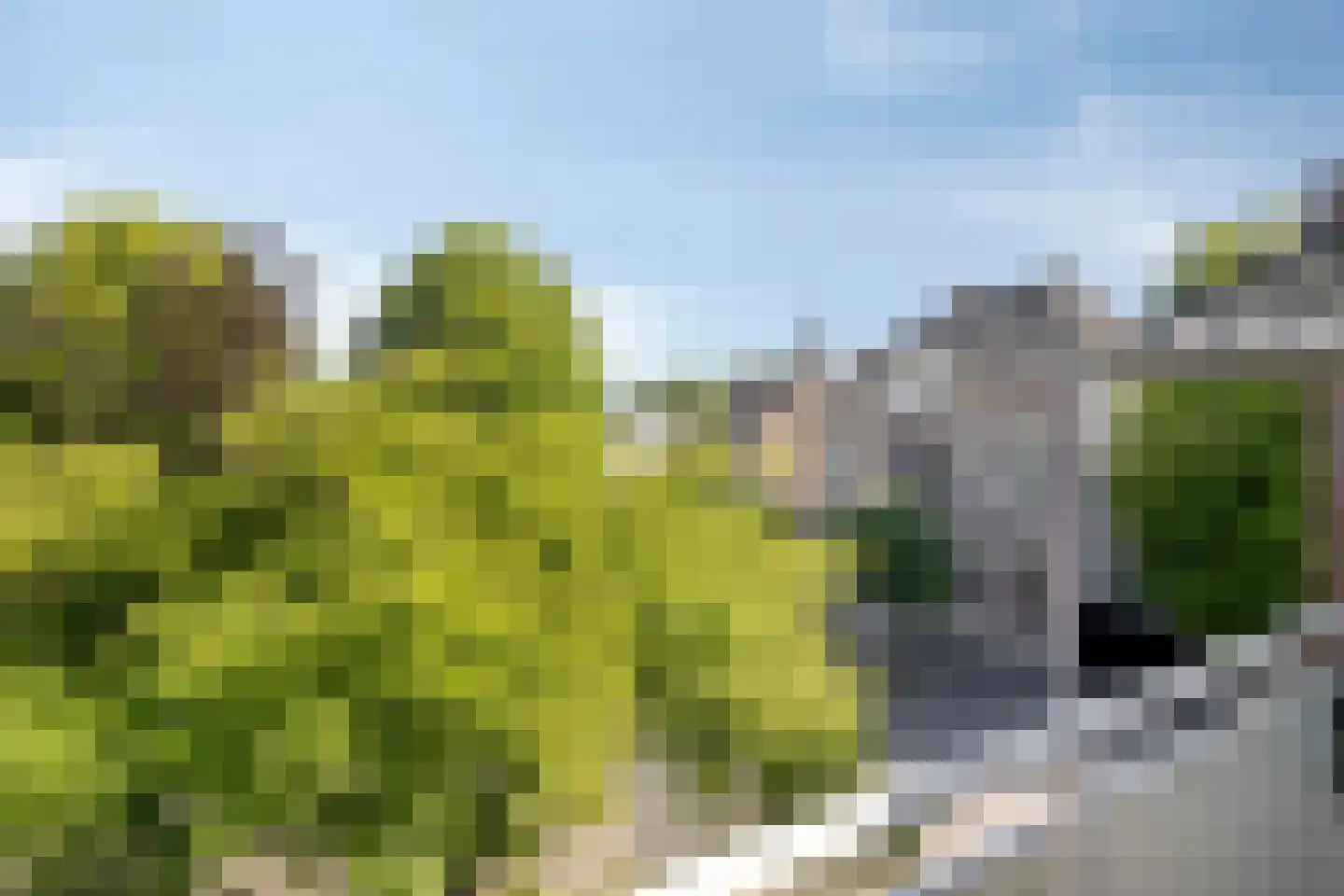 Caspar Damstraat 15 Zundert thumbnail 20