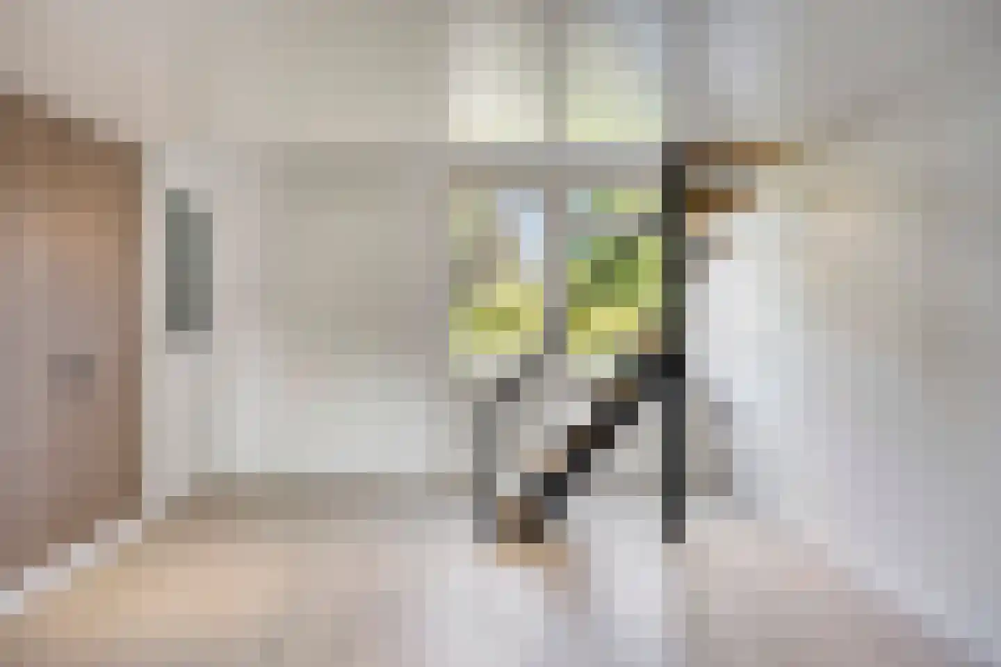 Caspar Damstraat 15 Zundert thumbnail 8