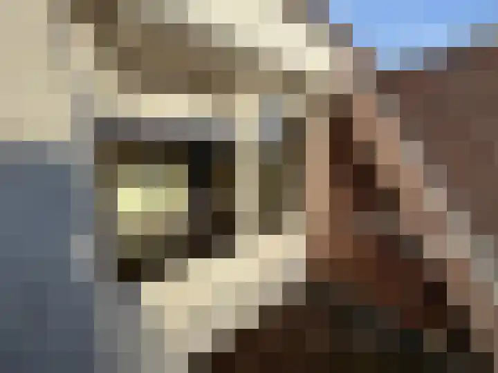 Caspar Damstraat 23 Zundert thumbnail 14