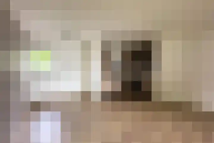 Caspar Damstraat 27 Zundert thumbnail 17