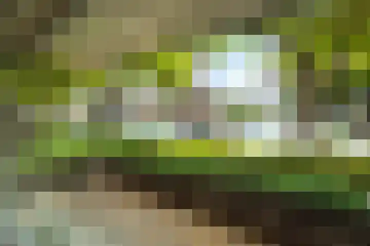 Caspar Damstraat 27 Zundert thumbnail 6