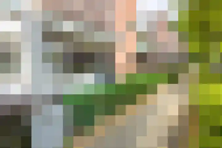Caspar Damstraat 27 Zundert thumbnail 8